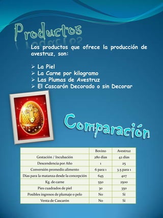 Los productos que ofrece la producción de
     avestruz, son:

        La Piel
        La Carne por kilogramo
        Las Plumas de Avestruz
        El Cascarón Decorado o sin Decorar




                                           Bovino     Avestruz
         Gestación / Incubación            280 días    42 días
         Descendencia por Año                 1          25
    Conversión promedio alimento           6 para 1   3.5 para 1
Días para la matanza desde la concepción     645        407
              Kg. de carne                   550        2500
         Pies cuadrados de piel              30          350
  Posibles ingresos de plumaje o pelo        No          Sí
           Venta de Cascarón                 No          Sí
 