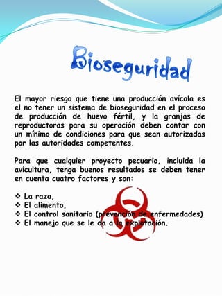 El mayor riesgo que tiene una producción avícola es
el no tener un sistema de bioseguridad en el proceso
de producción de huevo fértil, y la granjas de
reproductoras para su operación deben contar con
un mínimo de condiciones para que sean autorizadas
por las autoridades competentes.

Para que cualquier proyecto pecuario, incluida la
avicultura, tenga buenos resultados se deben tener
en cuenta cuatro factores y son:

   La raza,
   El alimento,
   El control sanitario (prevención de enfermedades)
   El manejo que se le da a la explotación.
 