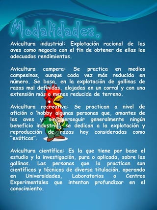Avicultura industrial: Explotación racional de las
aves como negocio con el fin de obtener de ellas los
adecuados rendimientos.

Avicultura campera: Se practica en medios
campesinos, aunque cada vez más reducida en
número. Se basa, en la explotación de gallinas de
razas mal definidas, alojadas en un corral y con una
extensión más o menos reducida de terreno.

Avicultura recreativa: Se practican a nivel de
afición o „hobby algunas personas que, amantes de
las aves y sin perseguir generalmente ningún
beneficio industrial, se dedican a la explotación y
reproducción de razas hoy consideradas como
“exóticas”.

Avicultura científica: Es la que tiene por base el
estudio y la investigación, pura o aplicada, sobre las
gallinas. Las personas que la practican son
científicos y técnicos de diversa titulación, operando
en     Universidades,    Laboratorios     o    Centros
Experimentales que intentan profundizar en el
conocimiento.
 