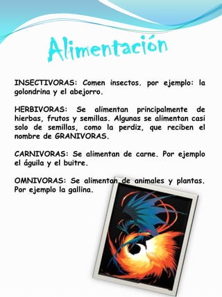 INSECTIVORAS: Comen insectos. por ejemplo: la
golondrina y el abejorro.

HERBIVORAS: Se alimentan principalmente de
hierbas, frutos y semillas. Algunas se alimentan casi
solo de semillas, como la perdiz, que reciben el
nombre de GRANIVORAS.

CARNIVORAS: Se alimentan de carne. Por ejemplo
el águila y el buitre.

OMNIVORAS: Se alimentan de animales y plantas.
Por ejemplo la gallina.
 
