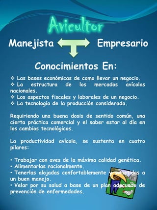 Manejista                        Empresario

         Conocimientos En:
 Las bases económicas de como llevar un negocio.
 La    estructura   de    los  mercados    avícolas
nacionales.
 Los aspectos fiscales y laborales de un negocio.
 La tecnología de la producción considerada.

Requiriendo una buena dosis de sentido común, una
cierta práctica comercial y el saber estar al día en
los cambios tecnológicos.

La productividad avícola, se sustenta en cuatro
pilares:

• Trabajar con aves de la máxima calidad genética.
• Alimentarlas racionalmente.
• Tenerlas alojadas confortablemente y sometidas a
un buen manejo.
• Velar por su salud a base de un plan adecuado de
prevención de enfermedades.
 