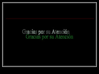 Gracias por su Atención 