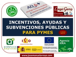 INCENTIVOS, AYUDAS Y
SUBVENCIONES PÚBLICAS
PARA PYMES
www.josemanuelarroyo.com
 