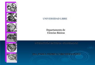 Departamento de  Ciencias Básicas INTERACCIÓN BACTERIA -HOSPEDADOR Dra. PAOLA ANDREA CARO HERNÁNDEZ UNIVERSIDAD LIBRE 