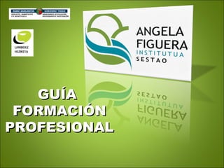 GUÍAGUÍA
FORMACIÓNFORMACIÓN
PROFESIONALPROFESIONAL
 