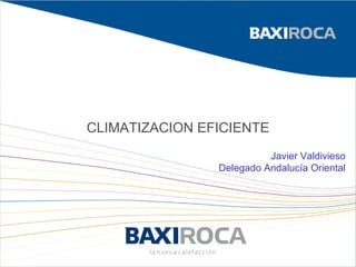 CLIMATIZACION EFICIENTE Javier Valdivieso Delegado Andalucía Oriental 