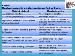 Cuadro 1
Modelos de producción animal que coexisten en América Tropical
Modelo tradicional Modelo alternativo
Alta dependencia externa Menos dependencia externa
Alta tecnología (tecnologías de punta) Tecnología apropiada.
Importación de materias primas para la
alimentación animal.
Uso racional de pastos y forrajes y
búsqueda de suministros locales para
la nutrición animal.
Amplia utilización de pesticidas químicos y
fertilizantes.
Fertilizantes orgánicos, biofertilizantes,
control biológico de plagas,
biopesticidas, rotación de cultivos e
intercultivos. Manejos integrados.
Utilización de sistemas de irrigación
modernos. Apropiación de los sistemas de
riego.
Uso de los ciclos biológicos y
estacionalidad.
Alto consumo de aceites y lubricantes.
Tracción animal y uso de fuentes
naturales de energía.
Uso de recursos humanos externos.
Recursos humanos de los predios,
zona o localidad.
 
