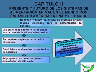 CAPITULO II
PRESENTE Y FUTURO DE LOS SISTEMAS DE
ALIMENTACIÓN ANIMAL EN EL MUNDO CON
ÉNFASIS EN AMÉRICA LATINA Y EL CARIBE
Las gramíneas nativas e introducidas
son la base de la alimentación bovina
Se requiere suplementar la ración
alimenticia
Suministrando alimentos concentrados
comerciales
Se preparan con materias primas
(importadas) de alto costo
Realidad y futuro en el uso de materias primas
locales utilizadas para la alimentación de
bovinos
 