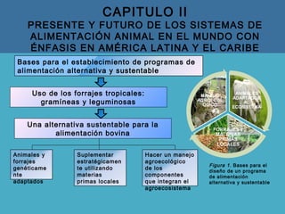 CAPITULO II
PRESENTE Y FUTURO DE LOS SISTEMAS DE
ALIMENTACIÓN ANIMAL EN EL MUNDO CON
ÉNFASIS EN AMÉRICA LATINA Y EL CARIBE
Uso de los forrajes tropicales:
gramíneas y leguminosas
Una alternativa sustentable para la
alimentación bovina
Bases para el establecimiento de programas de
alimentación alternativa y sustentable
Figura 1. Bases para el
diseño de un programa
de alimentación
alternativa y sustentable
Animales y
forrajes
genéticame
nte
adaptados
Suplementar
estratégicamen
te utilizando
materias
primas locales
Hacer un manejo
agroecológico
de los
componentes
que integran el
agroecosistema
 