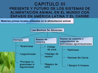 CAPITULO III
PRESENTE Y FUTURO DE LOS SISTEMAS DE
ALIMENTACIÓN ANIMAL EN EL MUNDO CON
ÉNFASIS EN AMÉRICA LATINA Y EL CARIBE
Materias primas locales utilizadas en la alimentación animal
Los Bovinos Se Alimentan
Forrajes
Gramíneas
Leguminosas
Forrajes no
gramíneas ni
leguminosas
Gallinaza
Harinas De Carne
 Sangre O Huesos
Restos de cosecha y
subproductos de
actividades agroindustriales
Restos de
cosecha
Vástago de
cambur
Bagazo de
caña
 Follaje
de yuca
 