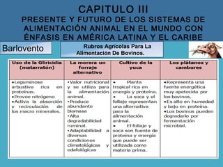 CAPITULO III
PRESENTE Y FUTURO DE LOS SISTEMAS DE
ALIMENTACIÓN ANIMAL EN EL MUNDO CON
ÉNFASIS EN AMÉRICA LATINA Y EL CARIBE
Barlovento Rubros Agrícolas Para La
Alimentación De Bovinos.
 