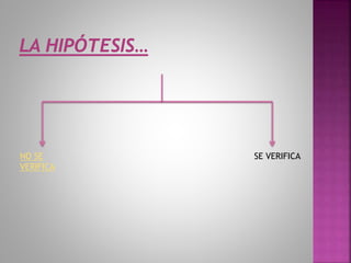 NO SE
VERIFICA
SE VERIFICA
 