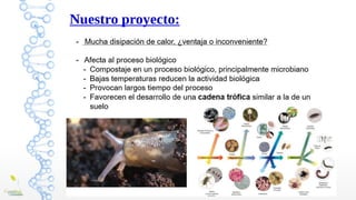 Nuestro proyecto:
BICHOCOMPO: Analizando la biodiversidad de invertebrados en una
pila de compost
 