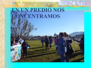 EN UN PREDIO NOS CONCENTRAMOS   