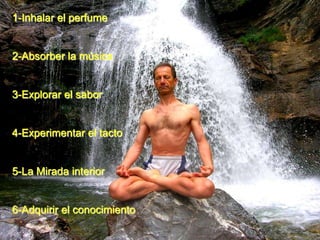 1-Inhalar el perfume2-Absorber la música 3-Explorar el sabor 4-Experimentar el tacto5-La Mirada interior6-Adquirir el conocimiento