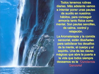 Todos tenemos rutinas diarias. Más adelante vamos a intentar poner unas pautas de auxilio en nuestros  hábitos, para conseguir armonía tanto física como mental. Son pautas sencillas, de calma, control y relajación. La Aromaterapia y la comida sensorial, están diseñadas para satisfacer los desafíos de la mente, el cuerpo y el espíritu. Una de las claves mágicas que abre la puerta a la vida que todos siempre deseamos es la“Conciencia Sensorial”