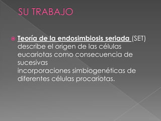    Teoría de la endosimbiosis seriada (SET)
    describe el origen de las células
    eucariotas como consecuencia de
    sucesivas
    incorporaciones simbiogenéticas de
    diferentes células procariotas.
 