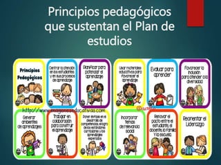 Principios pedagógicos
que sustentan el Plan de
estudios
 