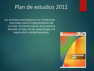 los principios pedagógicos del plan de estudios del 2011 | PPTX