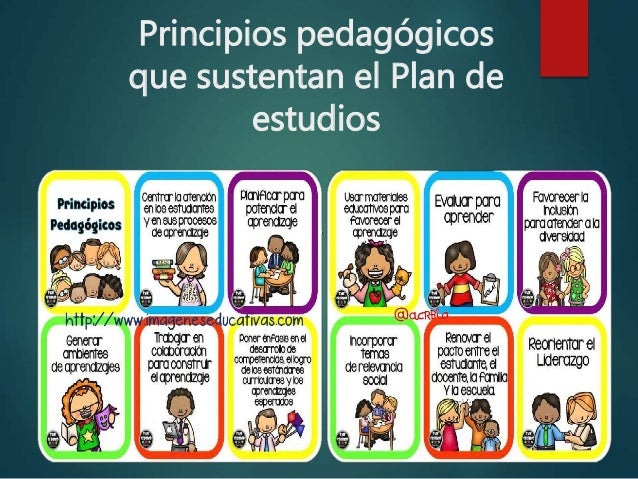 los principios pedagógicos del plan de estudios del 2011
