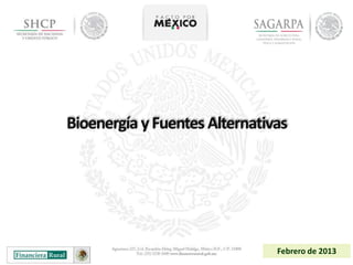 Bioenergía y Fuentes Alternativas




                               Febrero de 2013
 