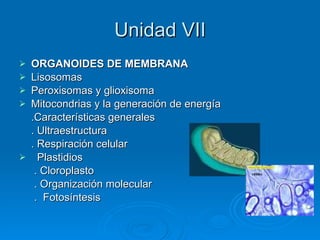 Unidad VII ORGANOIDES DE MEMBRANA  Lisosomas Peroxisomas y glioxisoma Mitocondrias y la generación de energía .Características generales . Ultraestructura . Respiración celular Plastidios . Cloroplasto . Organización molecular  .  Fotosíntesis 