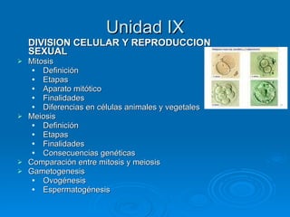 Unidad IX DIVISION CELULAR Y REPRODUCCION SEXUAL Mitosis Definición Etapas Aparato mitótico Finalidades Diferencias en células animales y vegetales Meiosis Definición Etapas Finalidades Consecuencias genéticas Comparación entre mitosis y meiosis Gametogenesis Ovogénesis Espermatogénesis 