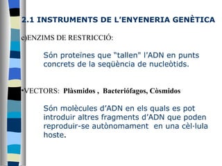 2.1 INSTRUMENTS DE L’ENYENERIA GENÈTICA ENZIMS DE RESTRICCIÓ: Són proteïnes que “tallen" l’ADN en punts concrets de la seqüència de nucleòtids. VECTORS:  Plàsmidos ,  Bacteriófagos, Còsmidos Són molècules d’ADN en els quals es pot  introduir altres fragments d’ADN que poden reproduir-se autònomament  en una cèl·lula  hoste . 