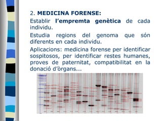 2.  MEDICINA FORENSE: Establir  l’empremta genètica  de cada individu.  Estudia regions del genoma que són diferents en cada individu. Aplicacions: medicina forense per identificar sospitosos, per identificar restes humanes, proves de paternitat, compatibilitat en la donació d’òrgans... 