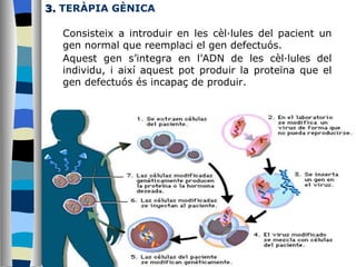 3.  TERÀPIA GÈNICA Consisteix a introduir en les cèl·lules del pacient un gen normal que reemplaci el gen defectuós. Aquest gen s’integra en l’ADN de les cèl·lules del individu, i així aquest pot produir la proteïna que el gen defectuós és incapaç de produir. 