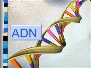 TEMA 4 BIOTECNOLOGIA CMC ADN 