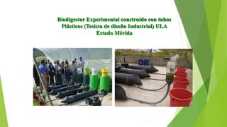 Biodigestor Experimental construido con tubos
Plásticos (Tesista de diseño Industrial) ULA
Estado Mérida
 