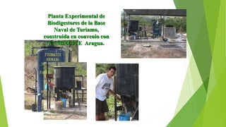 Planta Experimental de
Biodigestores de la Base
Naval de Turiamo,
construida en convenio con
FUNDACITE Aragua.
 