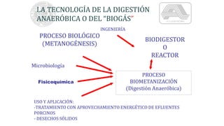 LA TECNOLOGÍA DE LA DIGESTIÓN
ANAERÓBICA O DEL “BIOGÁS”
PROCESO
BIOMETANIZACIÓN
(Digestión Anaeróbica)
PROCESO BIOLÓGICO
(METANOGÉNESIS)
Microbiología
Fisicoquímica
USO Y APLICACIÓN:
-TRATAMIENTO CON APROVECHAMIENTO ENERGÉTICO DE EFLUENTES
PORCINOS
- DESECHOS SÓLIDOS
BIODIGESTOR
O
REACTOR
INGENIERÍA
 