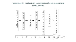 PROGRAMACIÓN EN DÍAS PARA LA CONSTRUCCIÓN DEL BIODIGESTOR
MODELO CHINO
E
X
C
A
V
A
C
IÓ
N
P
I
S
O
V
I
G
A
T
U
B
O
S
V
I
G
A
C
Ú
P
U
L
A
C
Á
M
A
R
A
S
F
R
I
S
O
S
T
U
B
E
R
Í
A
D
E
G
A
S
5 6 7 8 9 10 12 14 18 25
C
I
L
N
D
R
O
 