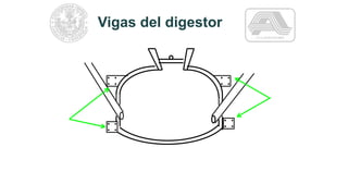 Vigas del digestor
 