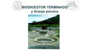 BIODIGESTOR TERMINADO
y Granja porcina
 