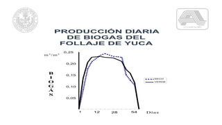B
I
O
G
Á
S
0,05
0,10
0,15
0,20
0,25
1 12 28 54
SECO
VERDE
Días
m3
/m3
PRODUCCIÓN DIARIA
DE BIOGAS DEL
FOLLAJE DE YUCA
 