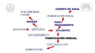 AFLUENTE
PURIFICACIÓN PARCIAL
PURIFICACIÓN TOTAL
SISTEMA
ANAEROBICO
FERTI-IRRIGACIÓN
BIOGÁS
ELECTRICIDAD
CALOR
AGRICULTURA
EFLUENTE
POST-
TRATAMIENTO
CUERPO DE AGUA
 