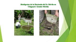 Biodigestor de la Hacienda del Sr. Dávila en
Chiguará Estado Mérida
 