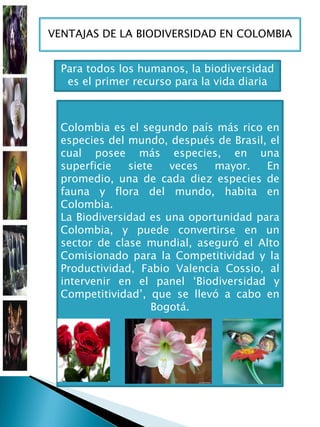 VENTAJAS DE LA BIODIVERSIDAD EN COLOMBIA


  Para todos los humanos, la biodiversidad
   es el primer recurso para la vida diaria



  Colombia es el segundo país más rico en
  especies del mundo, después de Brasil, el
  cual posee más especies, en una
  superficie   siete   veces  mayor.    En
  promedio, una de cada diez especies de
  fauna y flora del mundo, habita en
  Colombia.
  La Biodiversidad es una oportunidad para
  Colombia, y puede convertirse en un
  sector de clase mundial, aseguró el Alto
  Comisionado para la Competitividad y la
  Productividad, Fabio Valencia Cossio, al
  intervenir en el panel „Biodiversidad y
  Competitividad‟, que se llevó a cabo en
                    Bogotá.
 