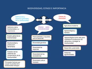 BIODIVERSIDAD, ESTADO E IMPORTANCIA


                Definiciones y                                       Clases de
                aspectos generales                                   diversidad
                de la biodiversidad


                                                                             Agricultura moderna
   Definición de la                            Efectos sobre
   biodiversidad y su                          la biodiversidad
   importancia                                                               Agroecológica y
                                                                             hambre

   Estado global de la
                                      Potencialidades y requisitos
   biodiversidad                                                             Agroecológica como reto para
                                      para el desarrollo
                                                                             mantener la producción de
                                                                             alimentos y proteger la
   Biodiversidad y                    Diversidad genética                    biodiversidad
   producción
   alimentaria
                                      Diversidad de                          Desarrollo sustentable
                                      especies
   Estados de los
                                                                             Sistemas
   sistemas de                        Diversidad de los                      agroforestales
   conservación de la                 ecosistemas
   biodiversidad

                                      Diversidad cultura
Principales factores que              humana
causan la pérdida de la
biodiversidad biológica
 