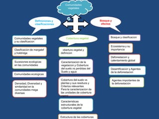 Comunidades
                                        vegetales



                 Definiciones y                                   Bosque y
                 clasificaciones                                   efectos




Comunidades vegetales                  Cobertura vegetal                 Bosque y clasificación
y su clasificación
                                                                         Ecosistema y su
Clasificación de margalef          Cobertura vegetal y                   importancia
y holdridge                        definición
                                                                         Deforestación y
                                                                         calentamiento global
Sucesiones ecológicas              Caracterización de la
en las comunidades                 vegetación y Cobertura
                                   del suelo vs perdidas del             Desertificación y Agentes
                                   Suelo y agua                          de la deforestación
Comunidades ecológicas

                                   Cobertura del suelo vs                    Agentes importantes de
Densidad, Diversidad y             plantas y sus residuos y                  la deforestación
similaridad en la                  Criterios relevantes
comunidades mega                   Para la caracterización de
diversas                           las unidades de cobertura
                                   vegetal

                                   Características
                                   estructurales de la
                                   cobertura vegetal


                                   Estructura de las coberturas
 