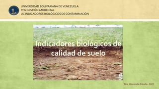 Dra. Gioconda Briceño. 2022
UNIVERSIDAD BOLIVARIANA DEVENEZUELA
PFG GESTIÓN AMBIENTAL
UC INDICADORES BIOLÓGICOS DE CONTAMINACIÓN
Indicadores biológicos de
calidad de suelo
 