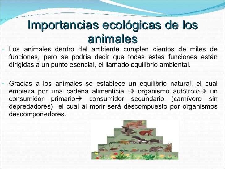 Importancia Alimenticia De Los Animales Vertebrados