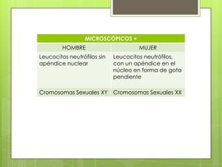 MICROSCÓPICOS +
         HOMBRE                      MUJER
Leucocitos neutrófilos sin   Leucocitos neutrófilos,
apéndice nuclear             con un apéndice en el
                             núcleo en forma de gota
                             pendiente

Cromosomas Sexuales XY       Cromosomas Sexuales XX
 