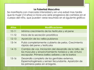 La Pubertad Masculina
Se manifiesta con marcada intensidad y en una edad mas tardía
que la mujer (14 años) e inicia una serie progresiva de cambios en el
cuerpo del niño, que pueden verse resumido en el siguiente gráfico:



  Años                           Modificaciones
  10-11     Mínimo crecimiento de los testículos y el pene
  11-12     Inicio de la secreción prostática
  12-13     Aparición de los vellos pubianos
  13-14     Pubis completamente cubierto de pelos. Crecimiento
            rápido del pene y testículos
  14-15     Cambio de voz. Iniciación del desarrollo de la talla, de
            los músculos y ensanchamiento toráxico y de cintura
            escapular. Primeros bellos axilares y de la barba
  15-16     Desarrollo completo de los genitales externos.
            Espermatogénesis y semen fecundante. Aparición de
            los primeros pelos en el bigote.
 