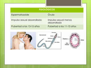 FISIOLÓGICOS

Espermatozoide                Óvulo

Impulso sexual desarrollado   Impulso sexual menos
                              desarrollado
Pubertad a los 13-15 años     Pubertad a los 11-13 años
 