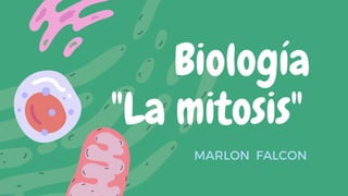 Biología
"La mitosis"
MARLON FALCON
 