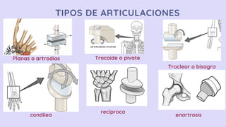 aparato-locomotor-anatom-a-y-fisiolog-a-pdf